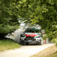 Illustration for article titled Tons Of Classic Rally Cars? Tons Of Classic Rally Cars!